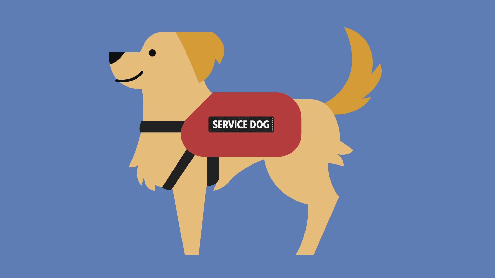 Service Dog PSA cover